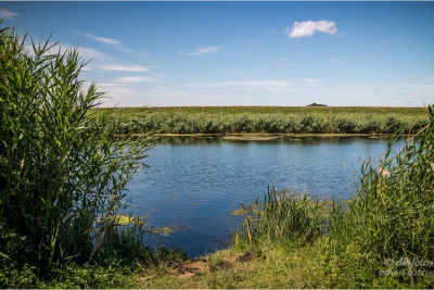 an der Ehle