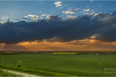 Blick ins Bördeland
