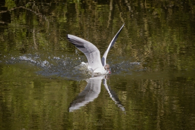 250501_deko_4798-Verbessert-RR