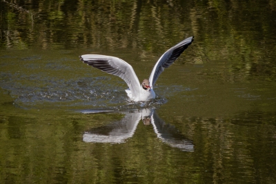 250501_deko_4799-Verbessert-RR