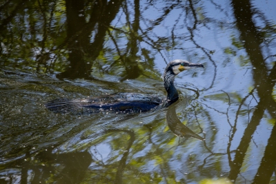 250501_deko_5023-Verbessert-RR