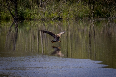 250501_deko_5086-Verbessert-RR