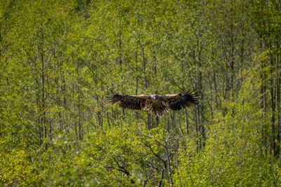 250501_deko_5133-Verbessert-RR