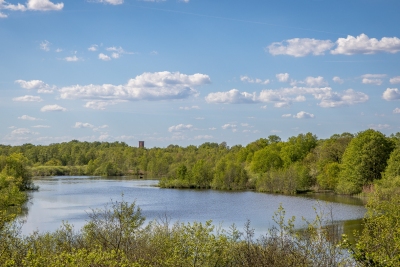 250501_deko_5247-Verbessert-RR-2