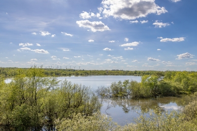 250501_deko_5249-Verbessert-RR