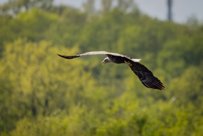 250501_deko_5354-Verbessert-RR