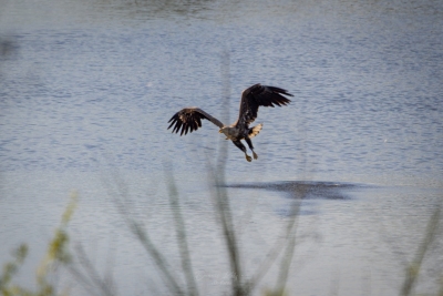 250501_deko_5368-Verbessert-RR