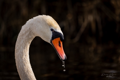 250323_deko_3364-Verbessert-RR-2