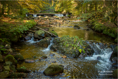 schierke_deko006 schierke_deko006