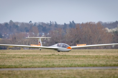 250329_deko_3599-Verbessert-RR